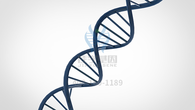 【佳学基因检测】解码导致肿瘤发生的基因突变来源